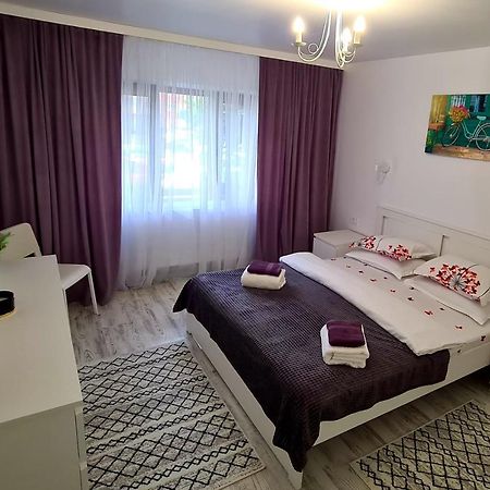 Apartament La Fluturi Apartament Suczawa Zewnętrze zdjęcie
