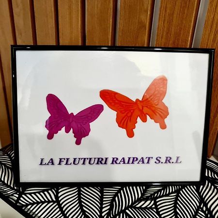 Apartament La Fluturi Apartament Suczawa Zewnętrze zdjęcie