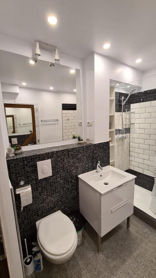 Apartament La Fluturi Apartament Suczawa Zewnętrze zdjęcie