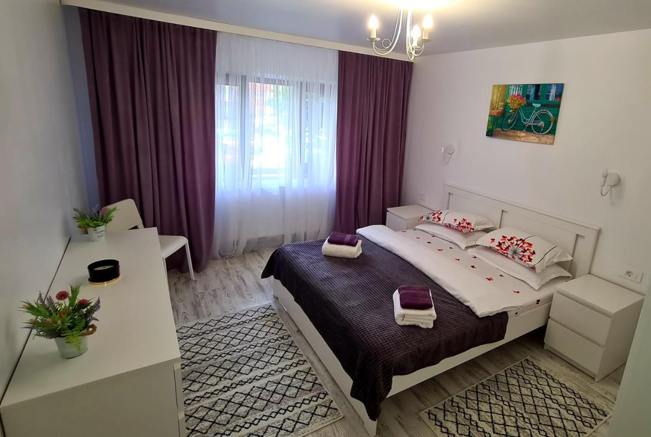 Apartament La Fluturi Apartament Suczawa Zewnętrze zdjęcie
