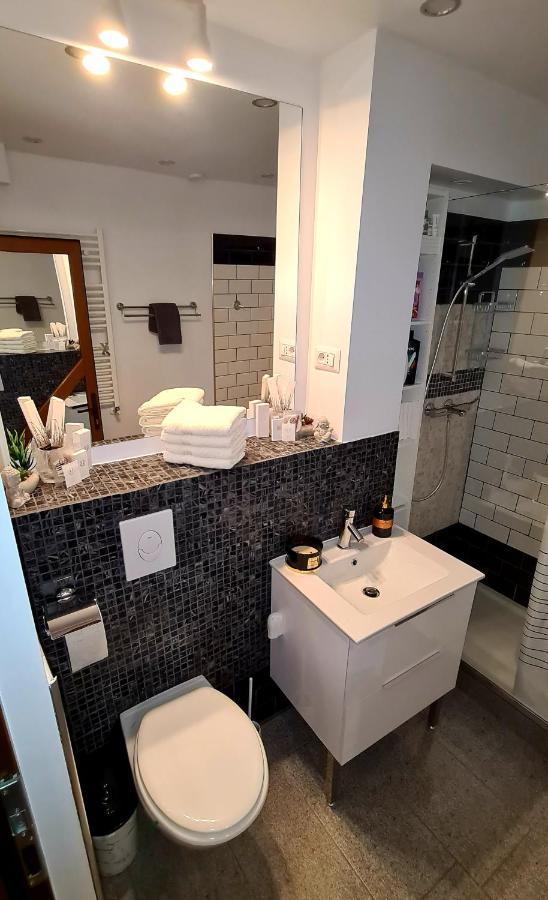 Apartament La Fluturi Apartament Suczawa Zewnętrze zdjęcie